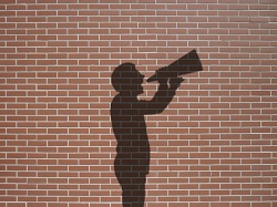 shadow megaphone